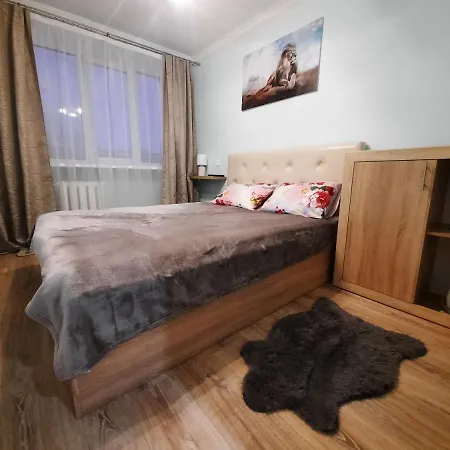 Comfort-plus Minsk